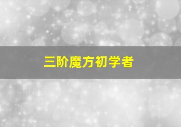 三阶魔方初学者