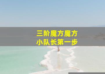 三阶魔方魔方小队长第一步