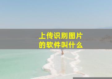 上传识别图片的软件叫什么