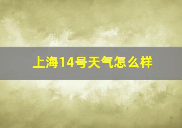 上海14号天气怎么样