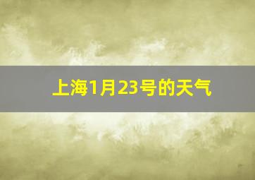 上海1月23号的天气