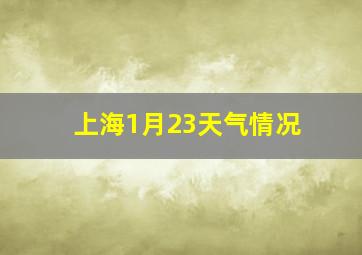 上海1月23天气情况