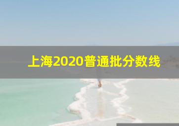 上海2020普通批分数线