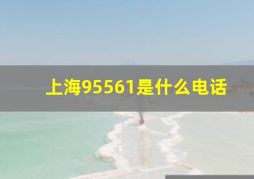 上海95561是什么电话