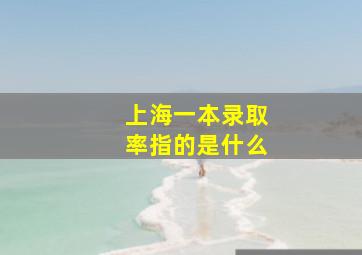 上海一本录取率指的是什么