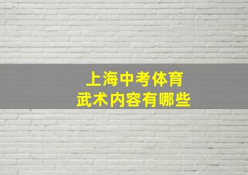 上海中考体育武术内容有哪些