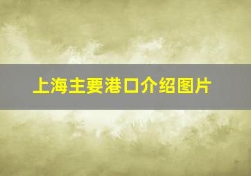 上海主要港口介绍图片