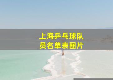 上海乒乓球队员名单表图片