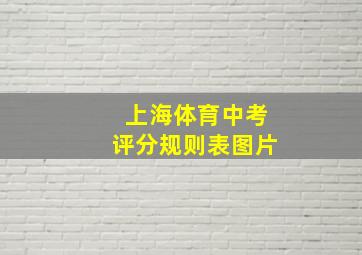 上海体育中考评分规则表图片