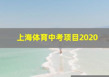 上海体育中考项目2020