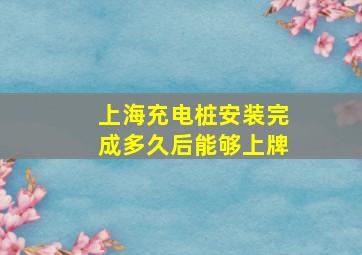 上海充电桩安装完成多久后能够上牌