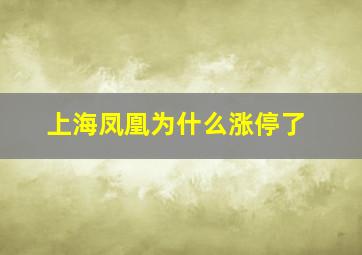 上海凤凰为什么涨停了