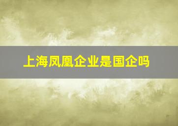 上海凤凰企业是国企吗