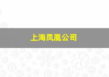 上海凤凰公司