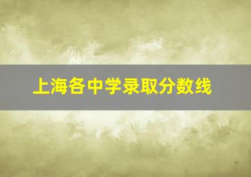 上海各中学录取分数线