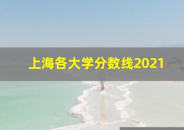 上海各大学分数线2021