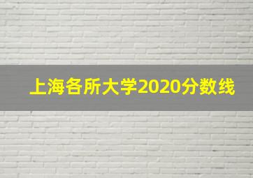 上海各所大学2020分数线