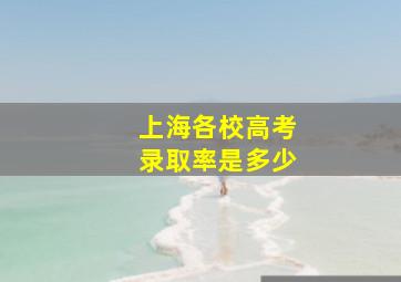 上海各校高考录取率是多少