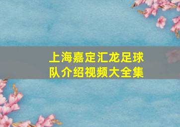 上海嘉定汇龙足球队介绍视频大全集