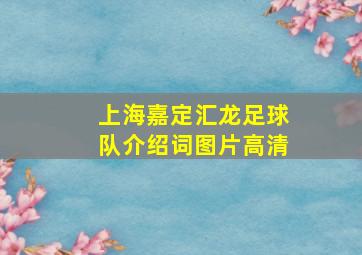 上海嘉定汇龙足球队介绍词图片高清