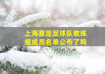 上海嘉定足球队教练组成员名单公布了吗