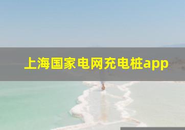 上海国家电网充电桩app