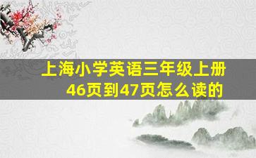 上海小学英语三年级上册46页到47页怎么读的