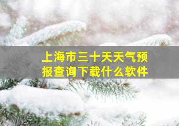 上海市三十天天气预报查询下载什么软件