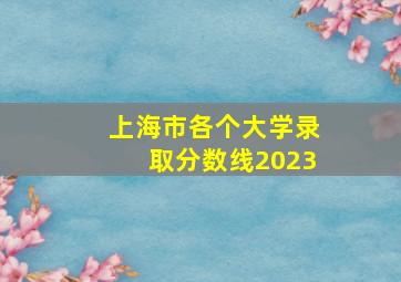 上海市各个大学录取分数线2023