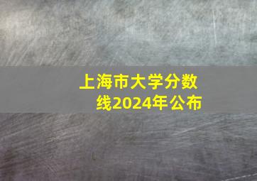 上海市大学分数线2024年公布