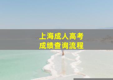 上海成人高考成绩查询流程