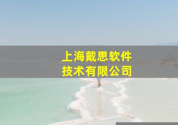 上海戴思软件技术有限公司