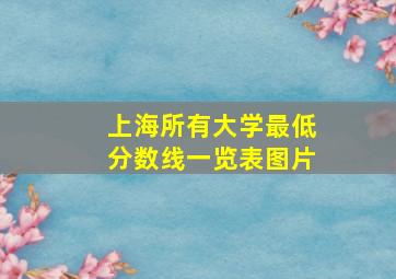 上海所有大学最低分数线一览表图片