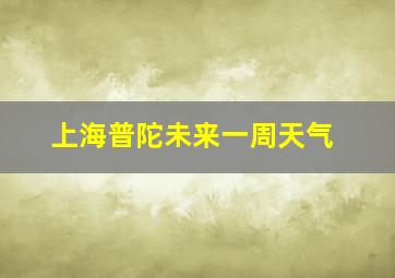 上海普陀未来一周天气