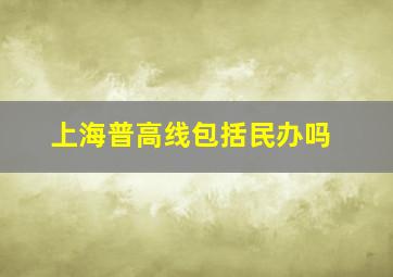 上海普高线包括民办吗