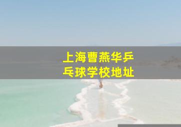 上海曹燕华乒乓球学校地址