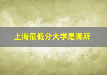 上海最低分大学是哪所