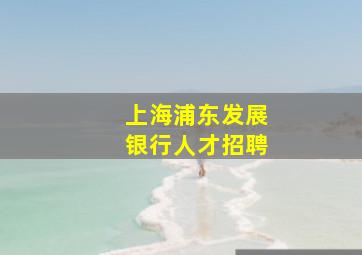 上海浦东发展银行人才招聘