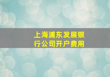 上海浦东发展银行公司开户费用