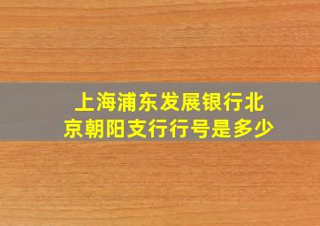 上海浦东发展银行北京朝阳支行行号是多少