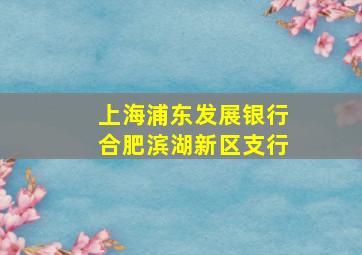 上海浦东发展银行合肥滨湖新区支行