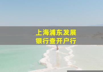 上海浦东发展银行查开户行