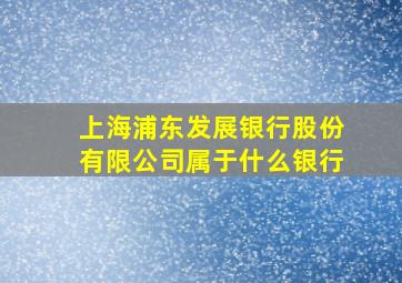 上海浦东发展银行股份有限公司属于什么银行