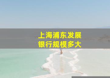 上海浦东发展银行规模多大