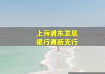 上海浦东发展银行高新支行