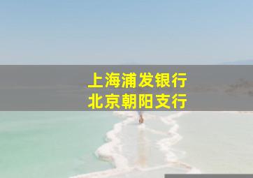 上海浦发银行北京朝阳支行