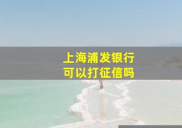 上海浦发银行可以打征信吗