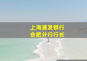 上海浦发银行合肥分行行长