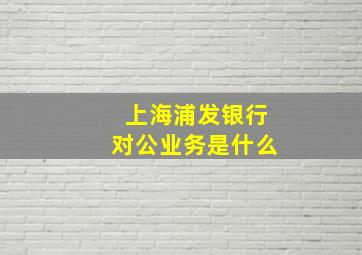 上海浦发银行对公业务是什么