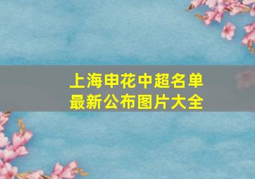 上海申花中超名单最新公布图片大全